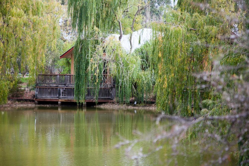 Perricoota Vines Retreat Hotel Moama Room photo