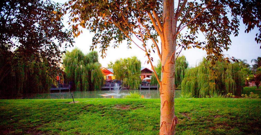 Perricoota Vines Retreat Hotel Moama Exterior photo