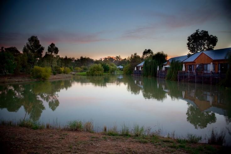 Perricoota Vines Retreat Hotel Moama Room photo