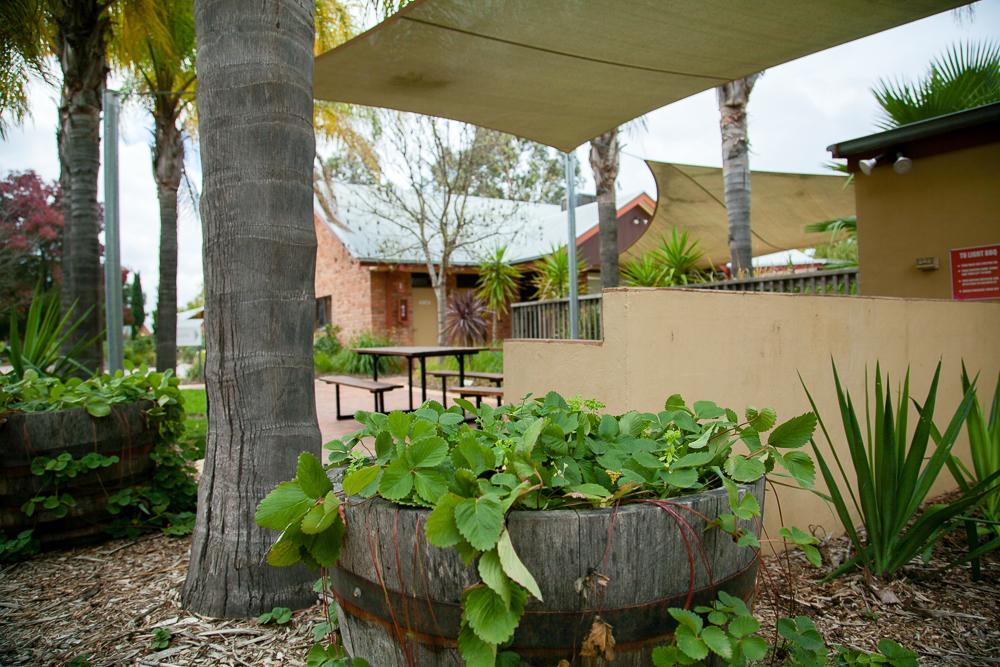 Perricoota Vines Retreat Hotel Moama Exterior photo