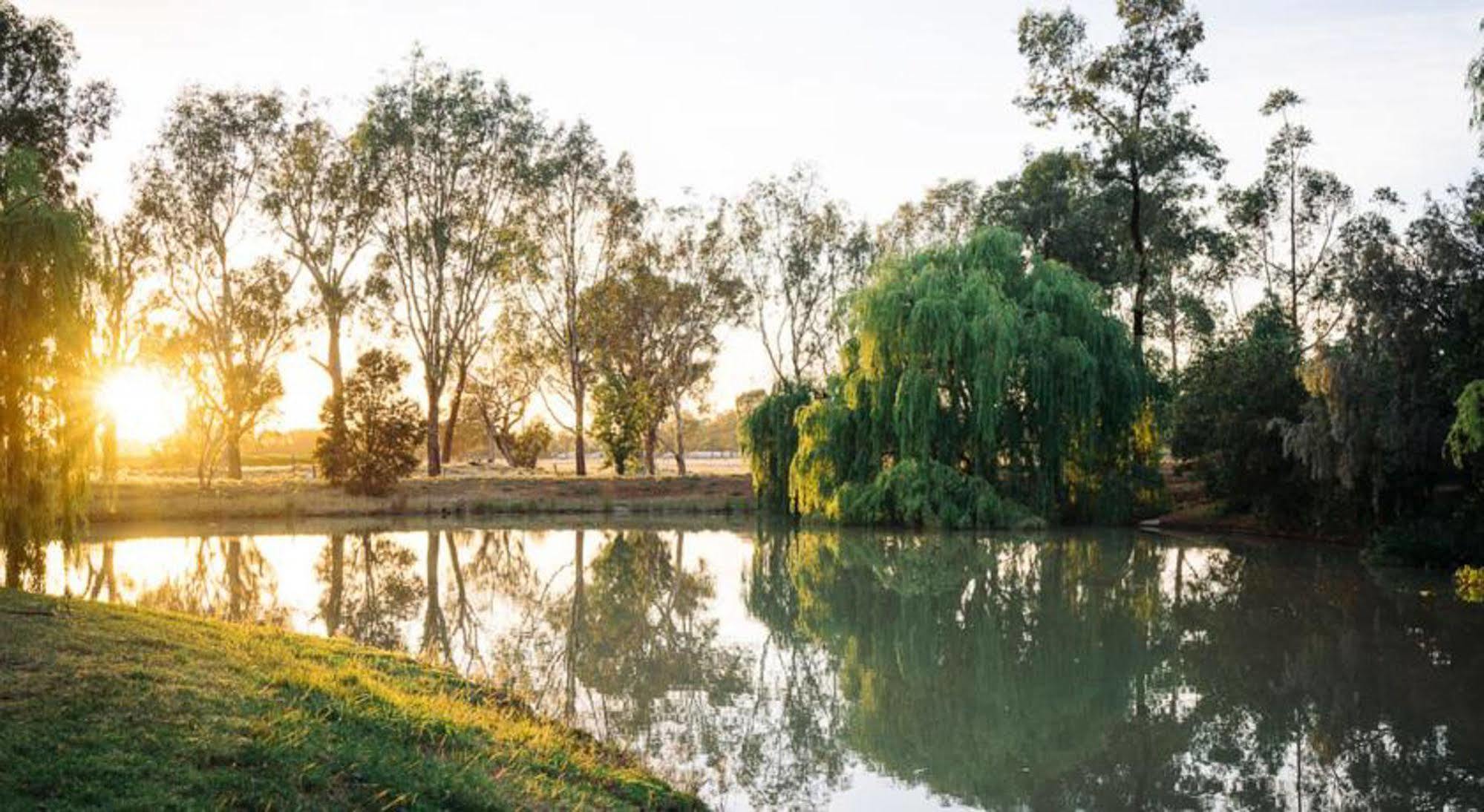 Perricoota Vines Retreat Hotel Moama Exterior photo